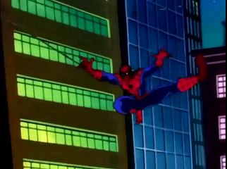 Spider man meets Black Cat