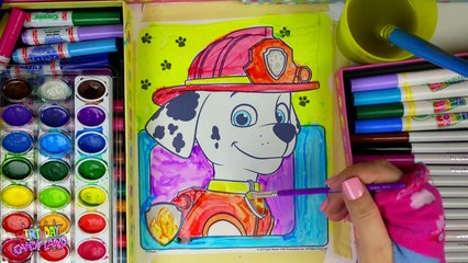 Learn Colors for Kids and Paint Color Paw Patrol Coloring Pages