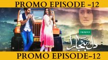 Dil Banjaara Episode 12 Promo HD HUM TV  full hd30 Dec 2016
