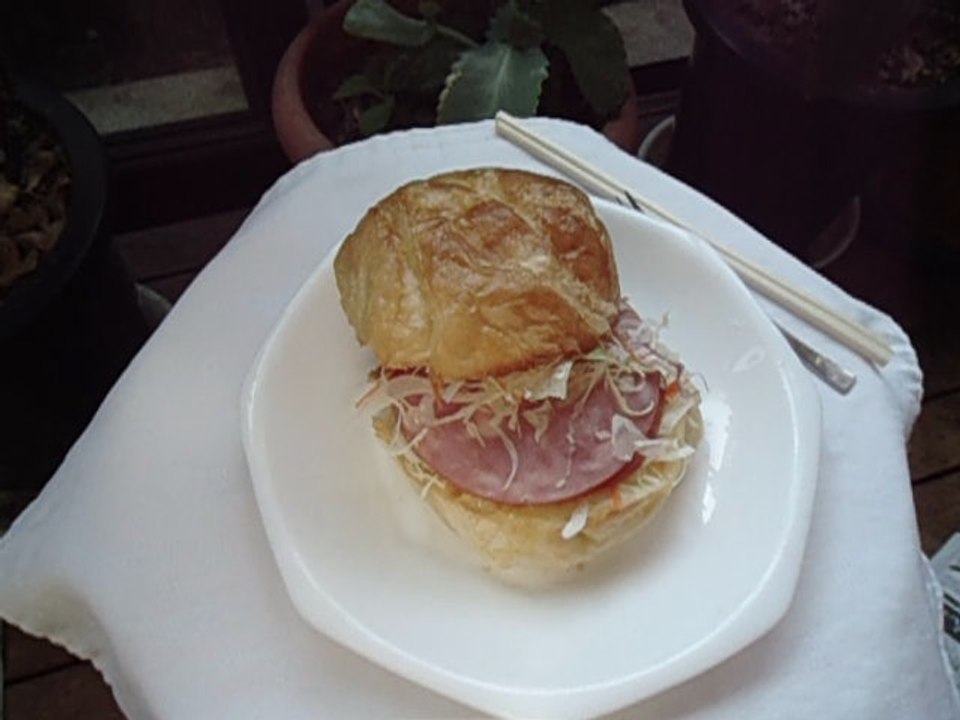 Hamburger Japanese food ハンバーガー