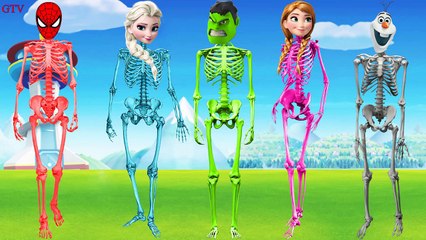 SuperHeroes Finger Family Song | Skeleton Spiderman Frozen Elsa Hulk Finger Family Nursery Rhymes