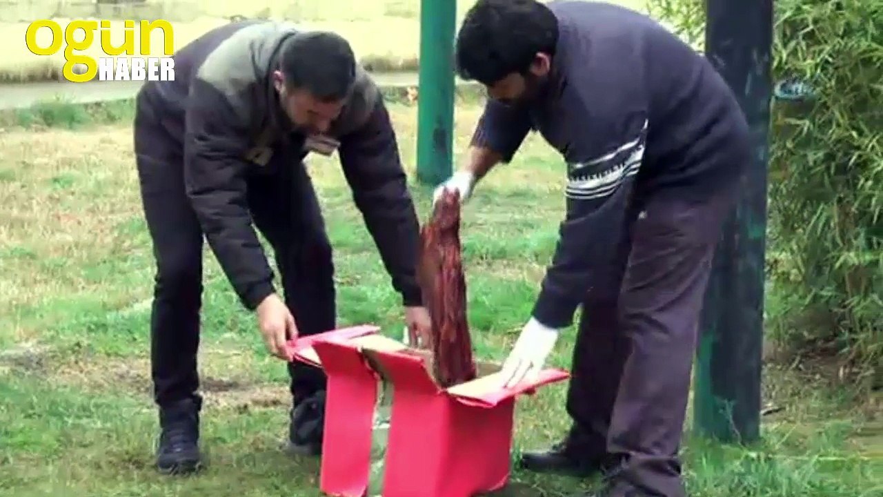 Hayvanat bahçesi sakinlerine yılbaşı hediyesi