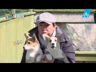 [예고] 대중소, 진짜 사나이되다? 애견학교 입학기