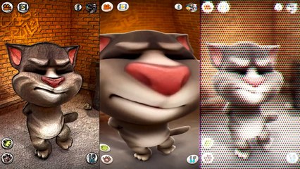 Talking Tom Cat and Friends Funny Videos 2016