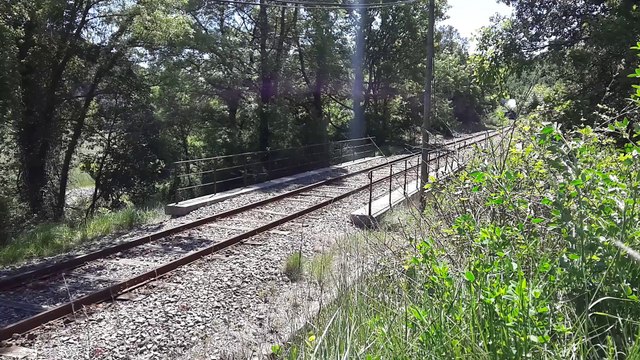Train à Vapeur des Cévennes 2016