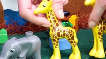 Animal toys for kids - Animals for kids - Wild animals - Animals learn to save water