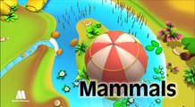 Animals for kids- mammals. Preschool educational videos