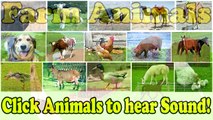 Farm Animals Name and Sound - Kids Fun Educational Learning Video   Old MacDonald Farm