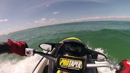 Requin cap ferret 2016