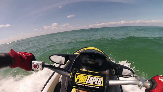 Requin cap ferret 2016