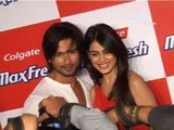 Genelia D'souza and Shahid Kapoor at the 'Colgate Max Fresh' party of the year