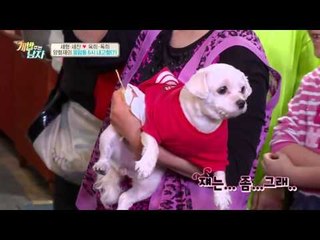 귀여운 깡패(?) 강아지 등장에 독희 견생표정 #개놀람