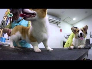 대중소, 만지고 싶은(?) S라인 & 치명적 애플힙 만들기!