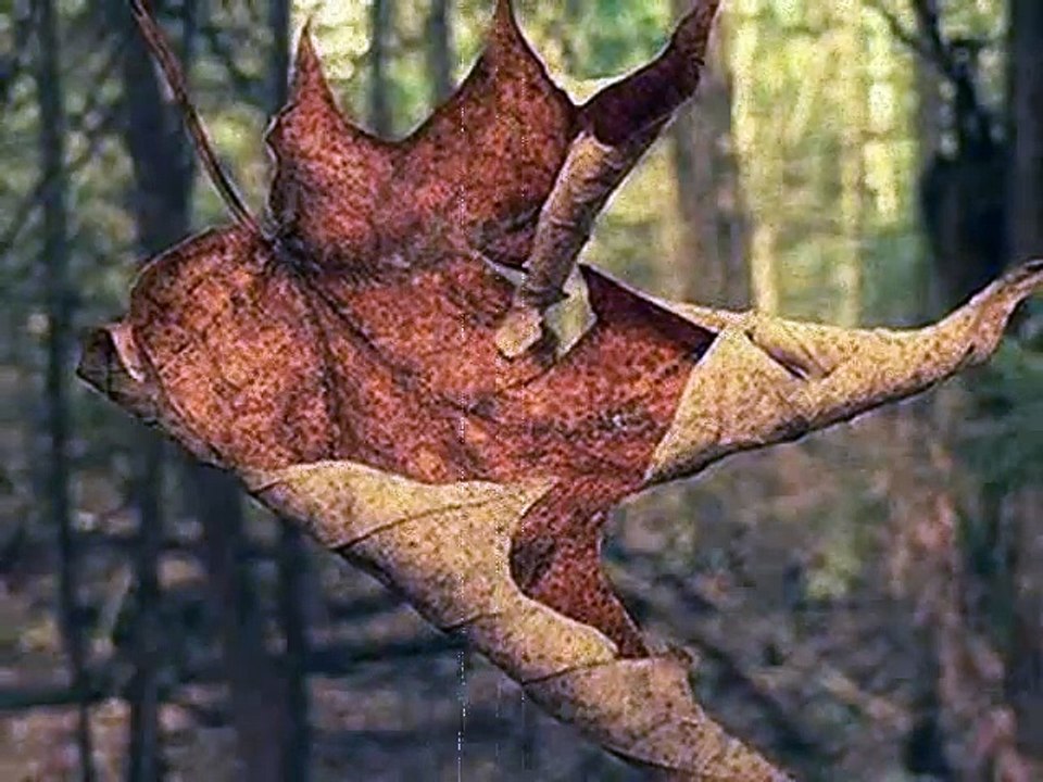 very Herat touching song ( Dil torna hi tha ) -Rahat Fateh Ali Khan new - HD- Soniye - YouTube