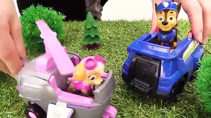 La Pat Patrouille: jeux avec les voitures