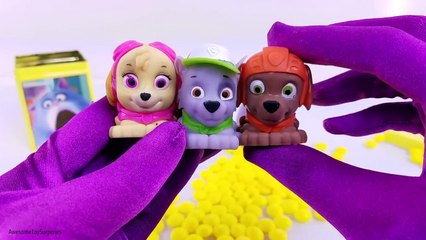 Secret Life of Pets DIY Cubeez Blind Box Play-Doh Toy Surprise Pretend Play Learn Colors!