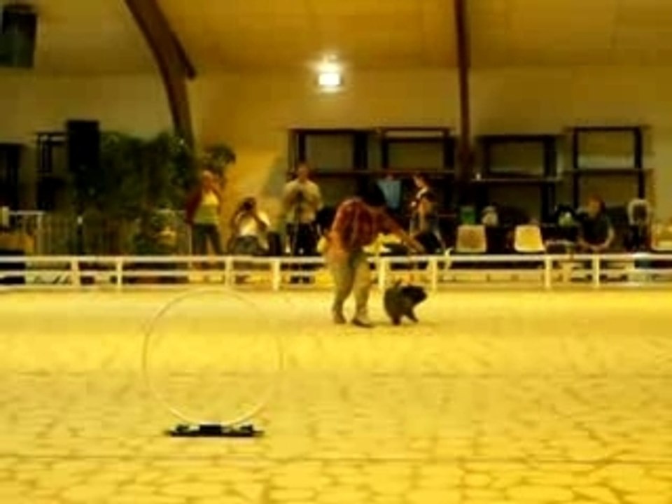 Gpfvideo2 003