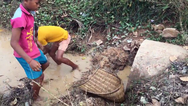 Amazing Fishing - Two Boys Catch A Lot Of Fish With Bare Hand - How To Catch Fish In Cambodia.720p