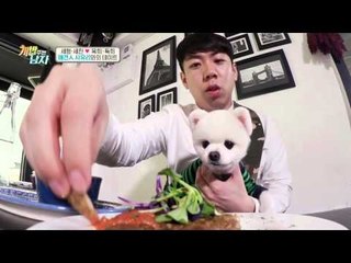 심쿵사 주의! 국내 최초 강아지 스테이크 & 컵케이크 먹방?!