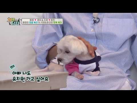 준이, 애견유치원 다녀?! 맞춤 육아 vs 방목 육아 논쟁!