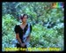 Aaya Hoon Main - Kabhi Alwida Na Kehna - Track 5 of DvD A.Nayyar Duets with Original Audio Video