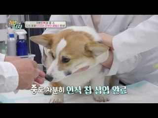 도장 꽝꽝! 대중소♥주병진, 진짜 가족이 되다!