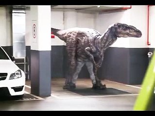 Best Prank ever..must watch video up to End