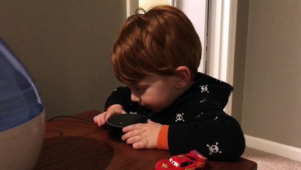 YouTube.com - Amazon Alexa Gone Wild!