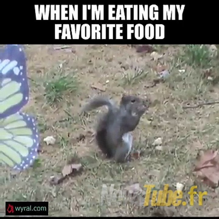 Quand je mange ma bouffe préférée