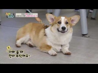 대중소, 남해로 떠나요♬ 반려견 고속버스 이용 꿀팁!