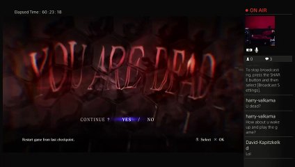 Re 6  ps4 pro 4k (160)