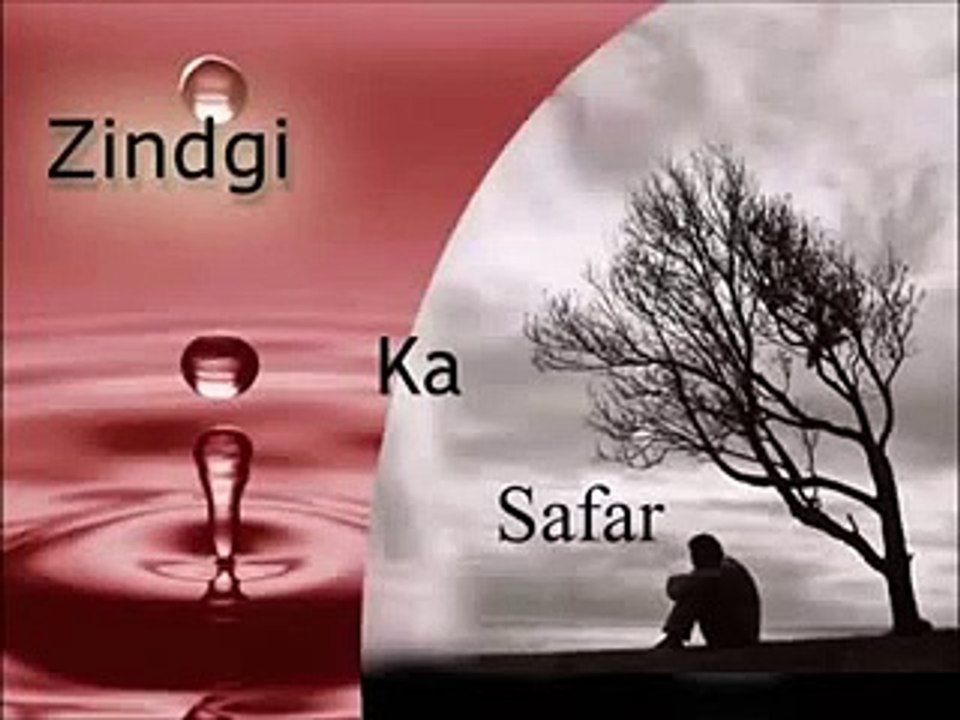 Whatsapp Video  Shero Shary Hindi   2015
