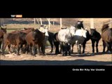 Orda Bir Köy Var Uzakta (Kırgızistan / 3. Bölüm) - TRT Avaz