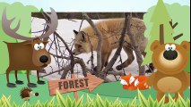 GOATS  Animals for children. Kids videos. Kindergarten   Preschool learning