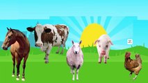 Finger Family Farm Animals Rhymes, Cow Horse Chiken Pig Sheep, Finger Family Songs For Children