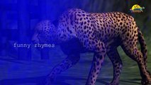 3D Animals Color Songs - 3D Animation Learning Colors Nursery Rhymes for children