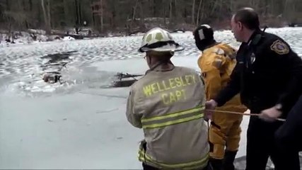 VIDEO. Des pompiers sauvent un chien piégé par un lac gelé dans le Michigan Autre vue