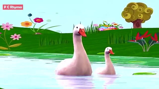 Five Little Ducks Song for Preschoolers|Songs for Kids with Animation|Cartoon Rhyme|Baby Song.