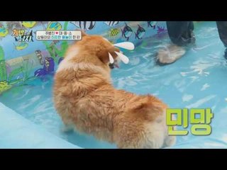 제대로 물 만난 대중소, 生 난리 물총 싸움 끝에 카메라 파괴?!