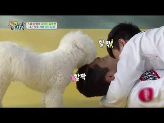 상남자 파이터 혹은 비숑바보 봉봉이 아빠! 스페셜멤버 김동현