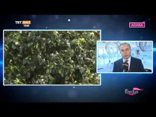Adana Valisi Mustafa Büyük ve Gazeteci Ayşe Arman ile Röportajımız - Medya Festival - TRT Avaz