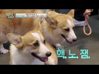 물고+빨고+핥고! 대중소, 디자이너 황재근과 브로맨스 작렬♥