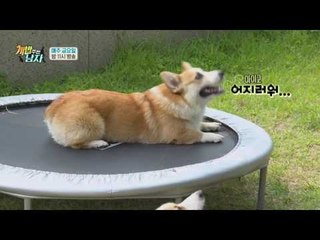 [선공개] 주병진의 대중소 펜트하우스 만들기 대작전!