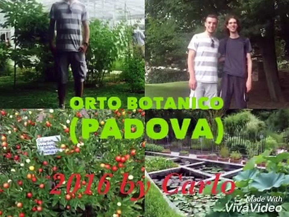 VLOG 2016 BY CARLO