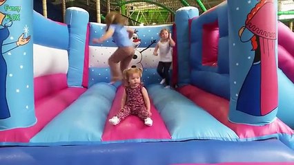 Children with Dolphins swimming enjoy the summer vacation