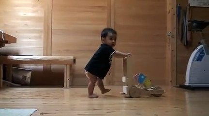 Cat Teaches Baby To Walk - Funny Videos at Videobash