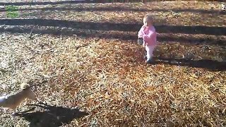 Cute Babies Laughing at Dogs Compilation 2016