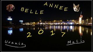 Voeux 2017