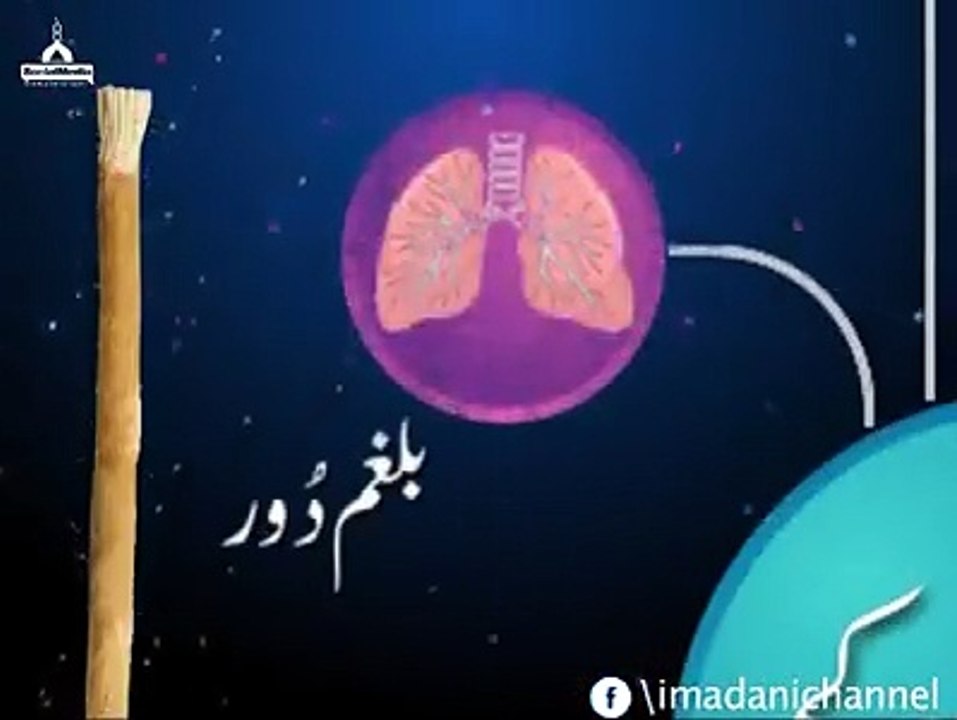 Benefits of Miswak