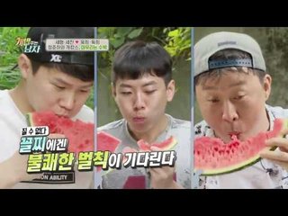 수박 반 통 가볍게 먹어주는 금수저犬 옥희독희! #번외게임 #수박 참사